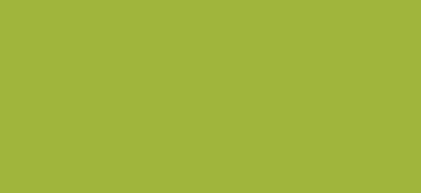 plain green background
